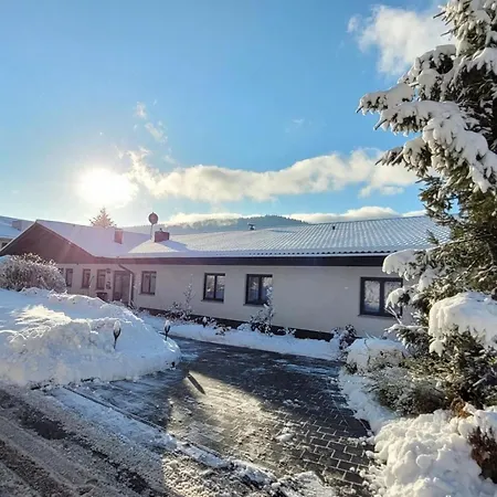 Bayvista- Bayerwald Mit Bergblick By Interhome Lam