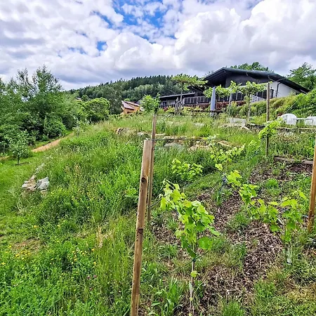 아파트 Bayvista- Bayerwald Mit Bergblick By Interhome *